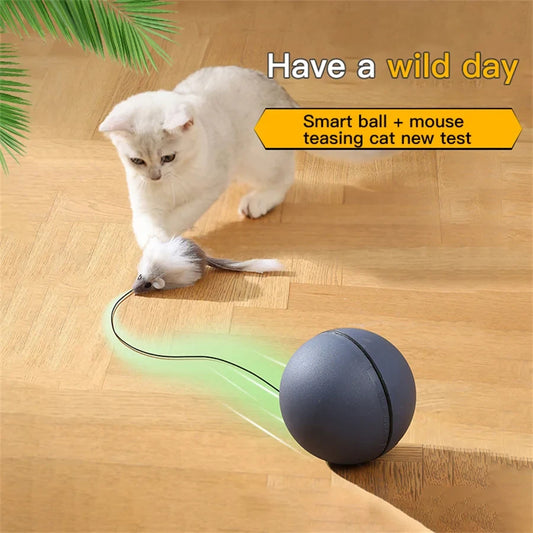 Interactive Cat Toy Ball With Tracking Mouse